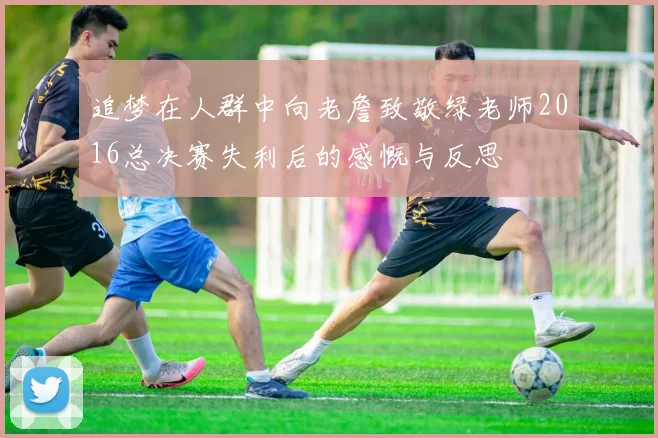 追梦在人群中向老詹致敬绿老师2016总决赛失利后的感慨与反思